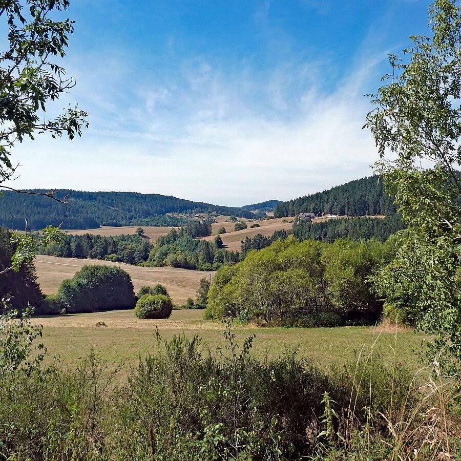 Schuetzen Kohlwald Prechtberg Brogen Buchenberg 06