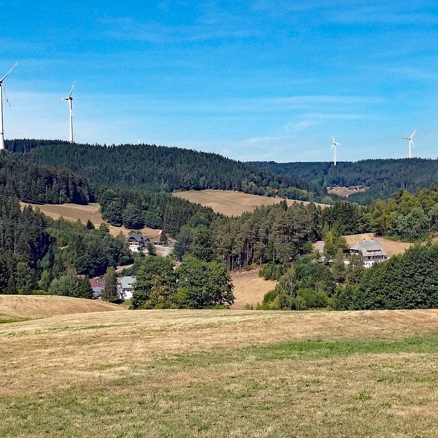 Schuetzen Kohlwald Prechtberg Brogen Buchenberg 07