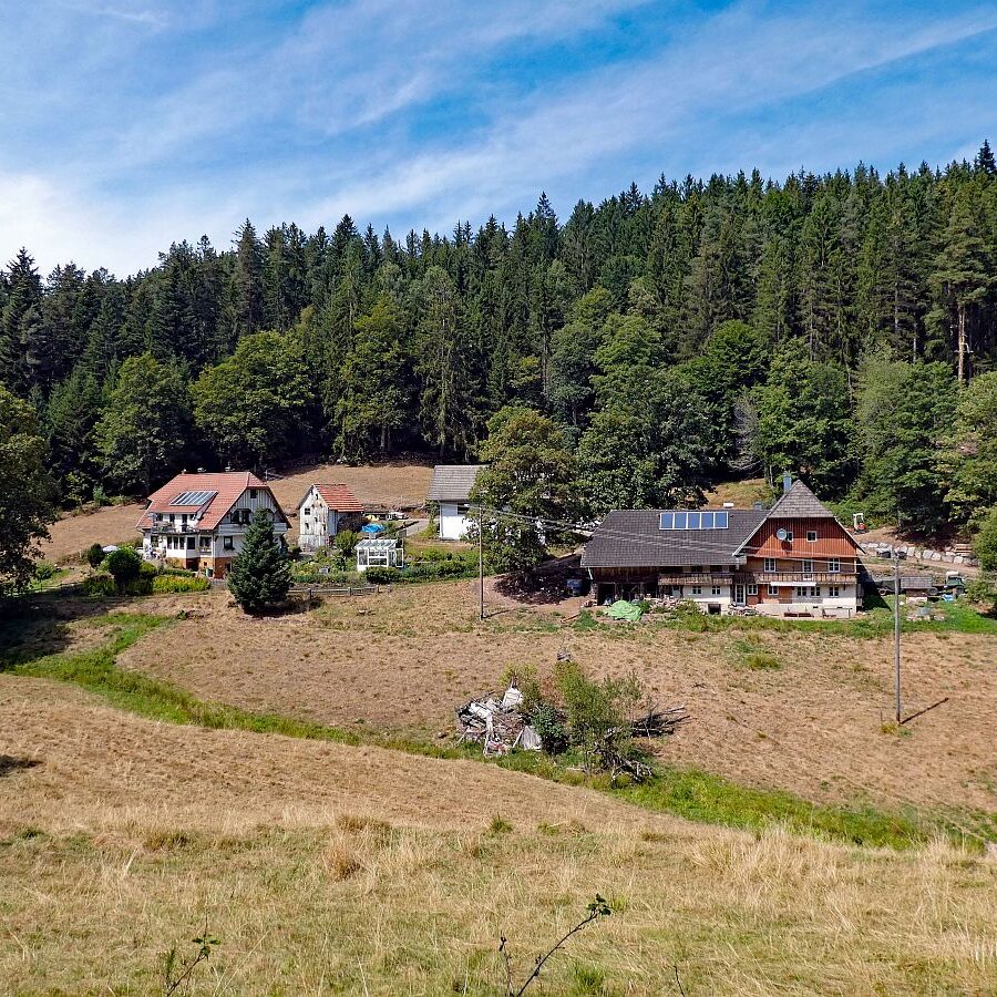 Schuetzen Kohlwald Prechtberg Brogen Buchenberg 09