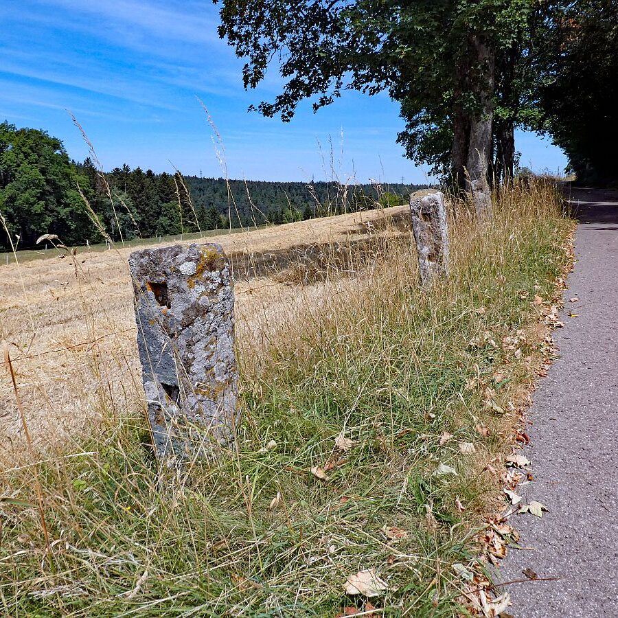 Schuetzen Kohlwald Prechtberg Brogen Buchenberg 10