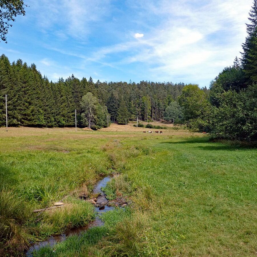 Schuetzen Kohlwald Prechtberg Brogen Buchenberg 15