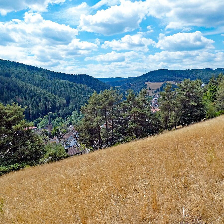 Wanderung Tennenbronn Dorfberg Buehl Halde Bach 01
