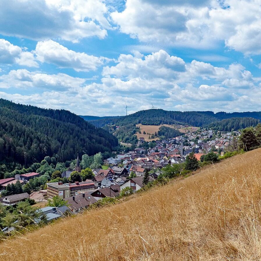 Wanderung Tennenbronn Dorfberg Buehl Halde Bach 02