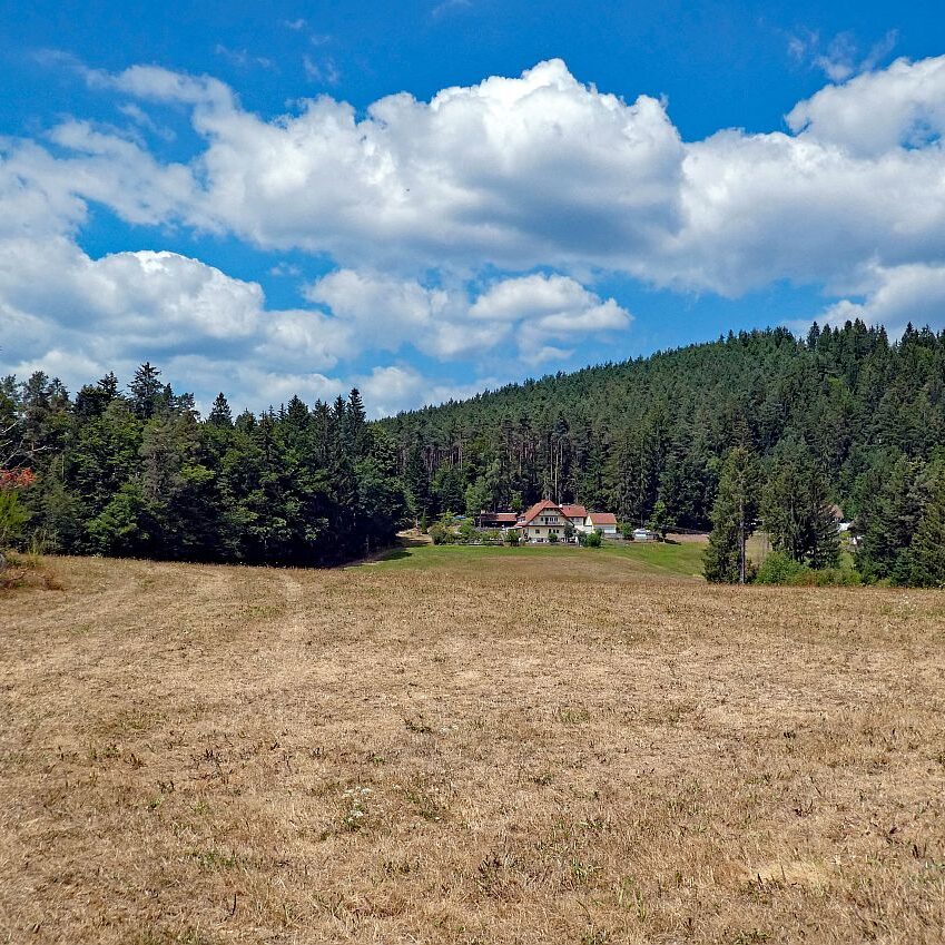 Wanderung Tennenbronn Dorfberg Buehl Halde Bach 03