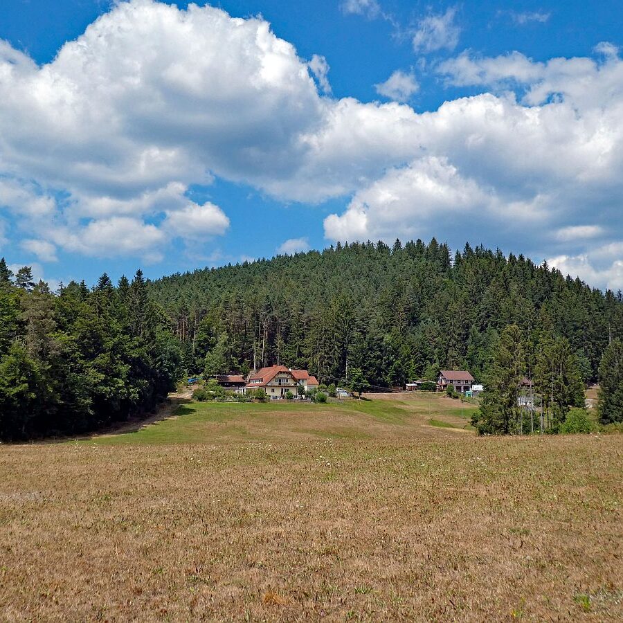 Wanderung Tennenbronn Dorfberg Buehl Halde Bach 06