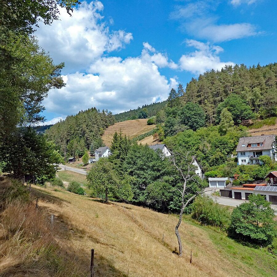 Wanderung Tennenbronn Dorfberg Buehl Halde Bach 07