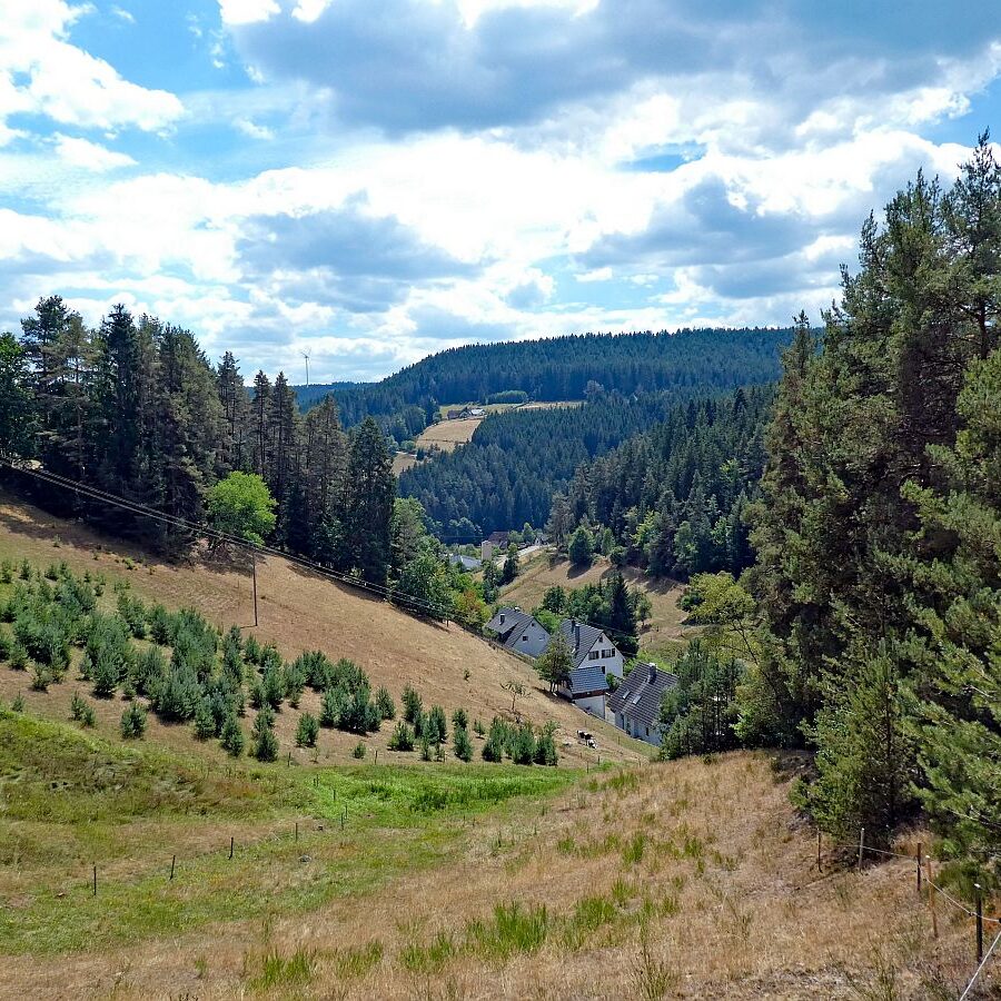 Wanderung Tennenbronn Dorfberg Buehl Halde Bach 08