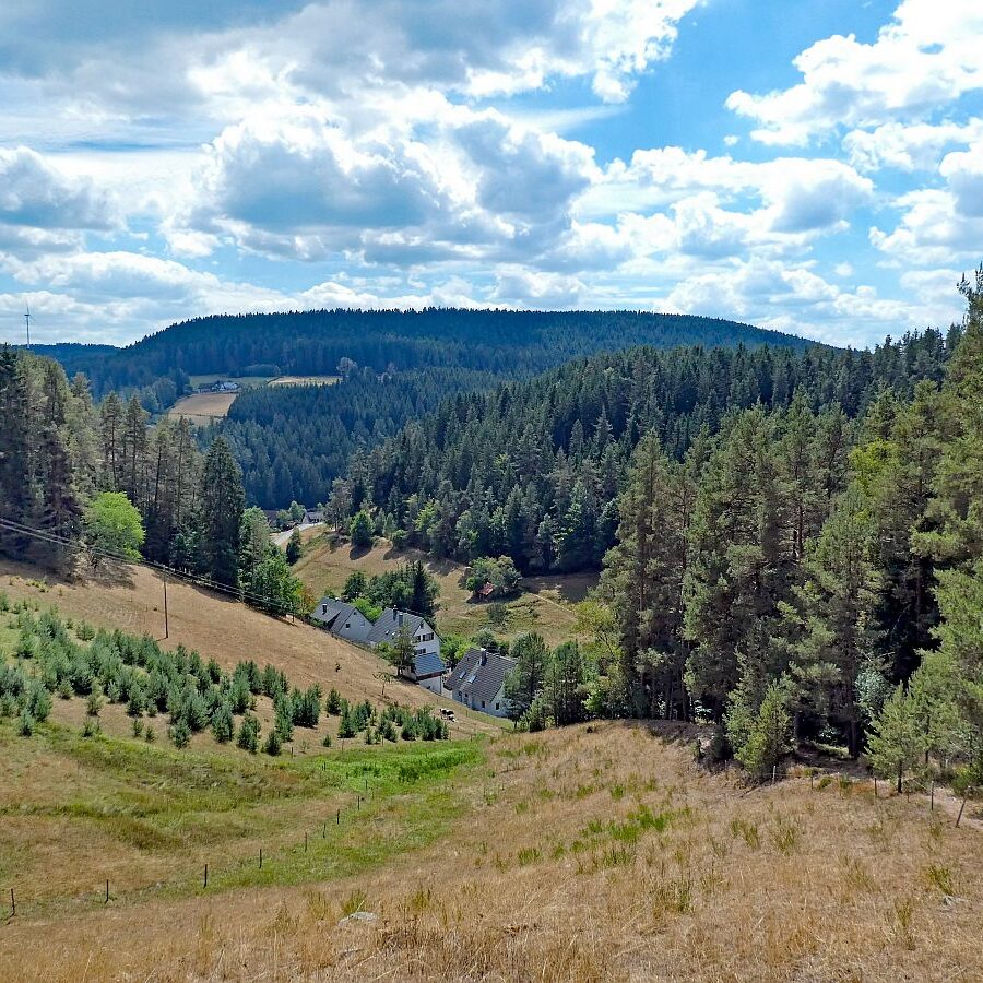 Wanderung Tennenbronn Dorfberg Buehl Halde Bach 09