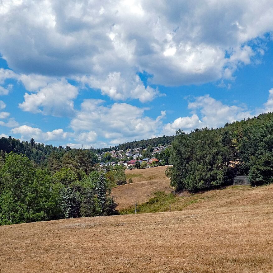 Wanderung Tennenbronn Dorfberg Buehl Halde Bach 10