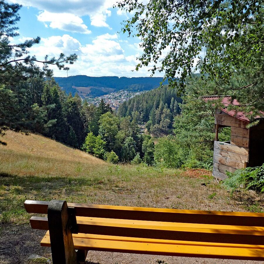 Wanderung Tennenbronn Dorfberg Buehl Halde Bach 11