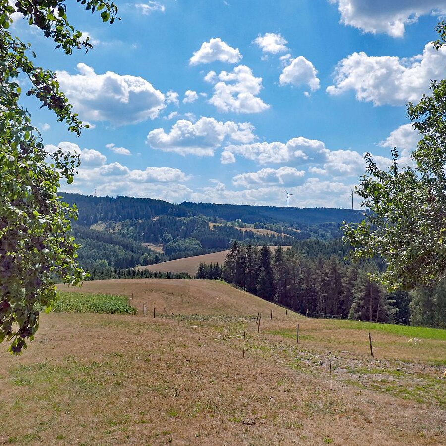 Wanderung Tennenbronn Dorfberg Buehl Halde Bach 14