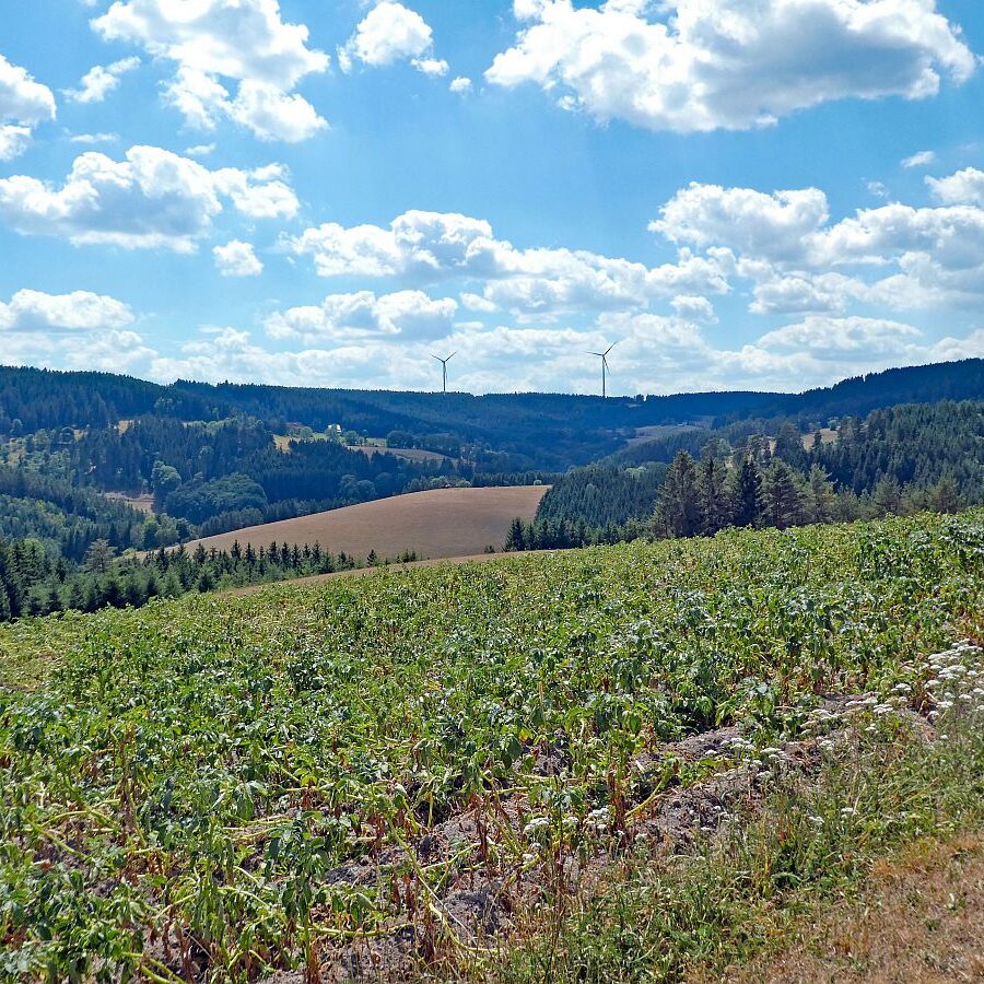 Wanderung Tennenbronn Dorfberg Buehl Halde Bach 15