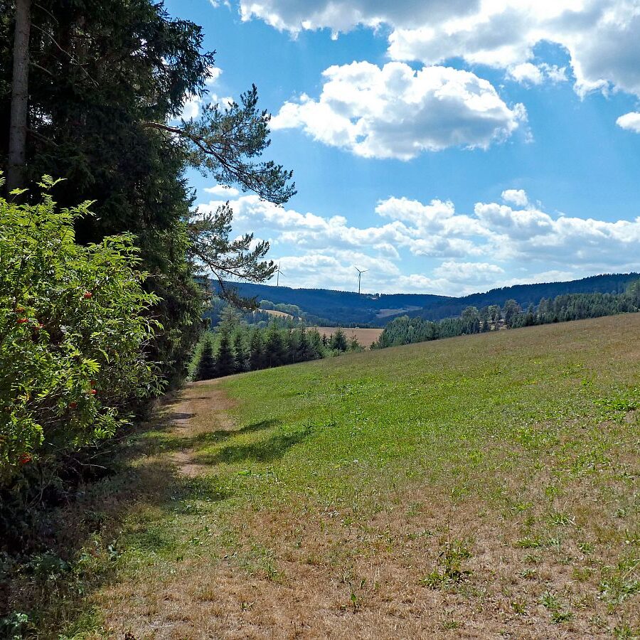 Wanderung Tennenbronn Dorfberg Buehl Halde Bach 16