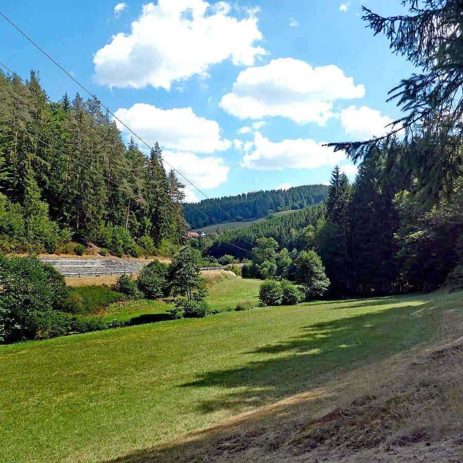 Wanderung Tennenbronn Dorfberg Buehl Halde Bach 19