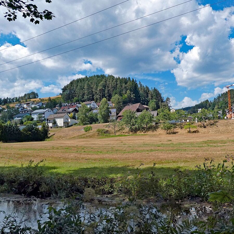 Wanderung Tennenbronn Dorfberg Buehl Halde Bach 20