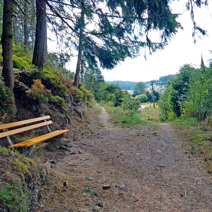 Wanderung Tennenbronn Dorfberg Buehl Halde Bach 21