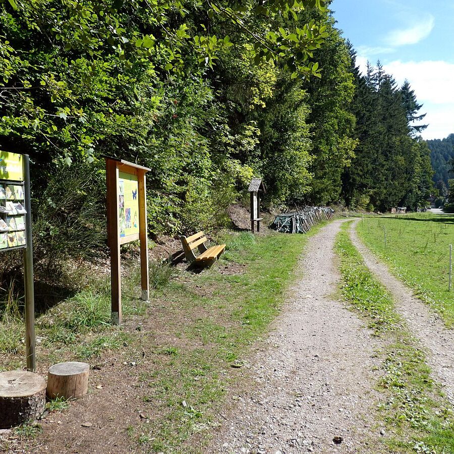 Auf dem Schmetterlingspfad in Tennenbronn im Eichbachtal 01