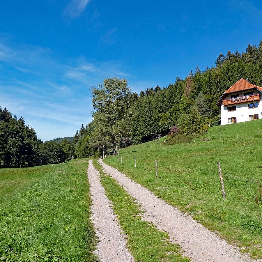 Auf dem Schmetterlingspfad in Tennenbronn im Eichbachtal 03