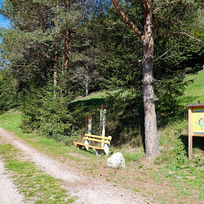 Auf dem Schmetterlingspfad in Tennenbronn im Eichbachtal 05