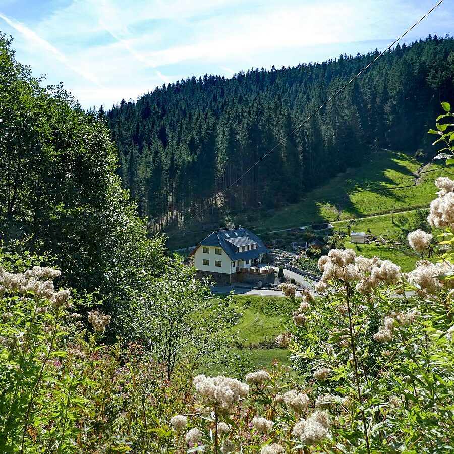 Auf dem Schmetterlingspfad in Tennenbronn im Eichbachtal 16