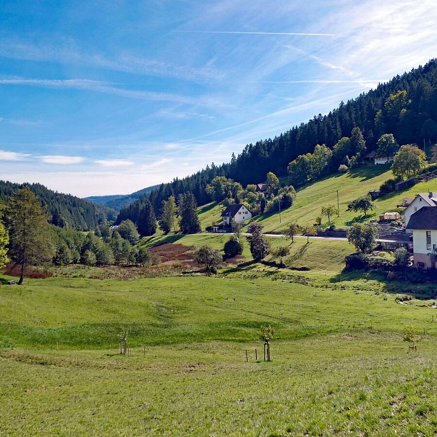 Auf dem Schmetterlingspfad in Tennenbronn im Eichbachtal 18