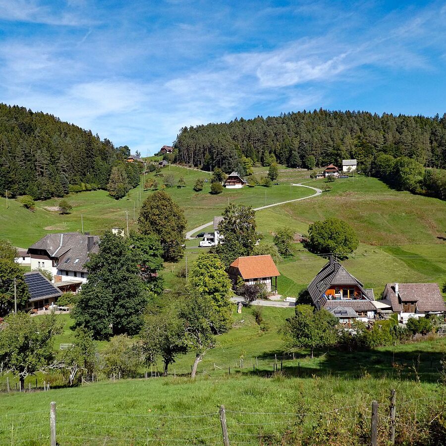 Auf dem Schmetterlingspfad in Tennenbronn im Eichbachtal 19