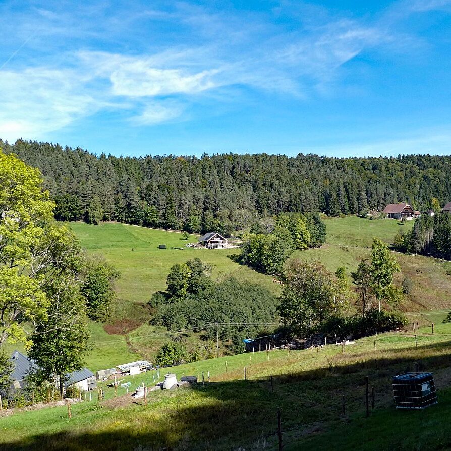 Auf dem Schmetterlingspfad in Tennenbronn im Eichbachtal 20