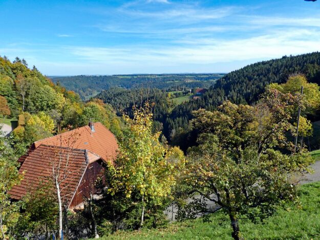 2022 10 16 Herbst Ramstein Purpen Reute Eichbach Halde 16 2022 10 16 Herbst Ramstein Purpen Reute Eichbach Halde 16