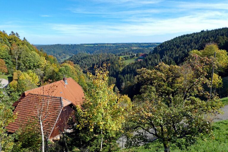 2022 10 16 Herbst Ramstein Purpen Reute Eichbach Halde 16