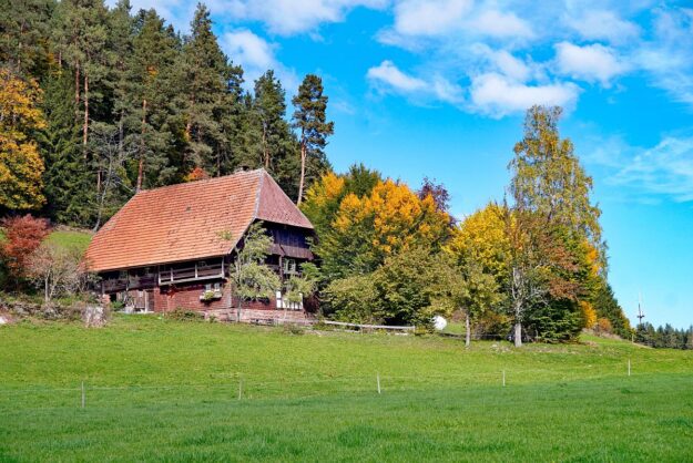 Herbst in Tennenbronn Linde Hub Kohlwald 01