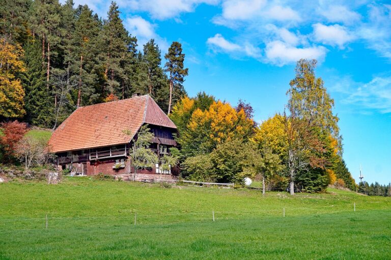 Herbst in Tennenbronn Linde Hub Kohlwald 01