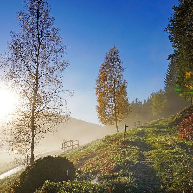 Herbstnebel im Tal in Tennenbronn 01
