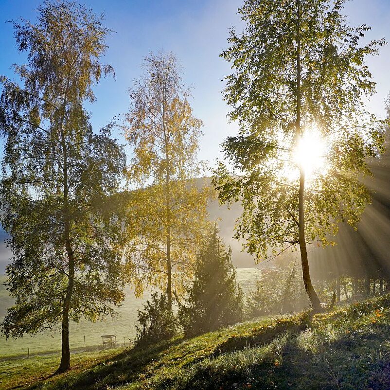 Herbstnebel im Tal in Tennenbronn 03