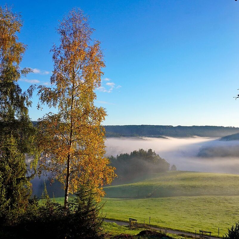 Herbstnebel im Tal in Tennenbronn 04