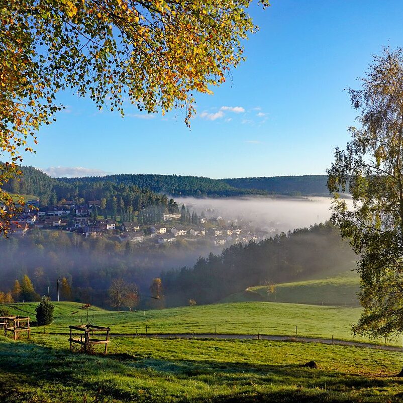 Herbstnebel im Tal in Tennenbronn 05