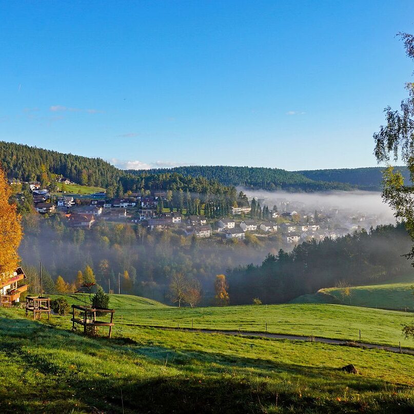 Herbstnebel im Tal in Tennenbronn 07