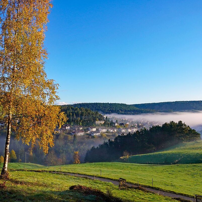 Herbstnebel im Tal in Tennenbronn 08