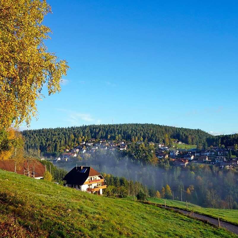 Herbstnebel im Tal in Tennenbronn 09