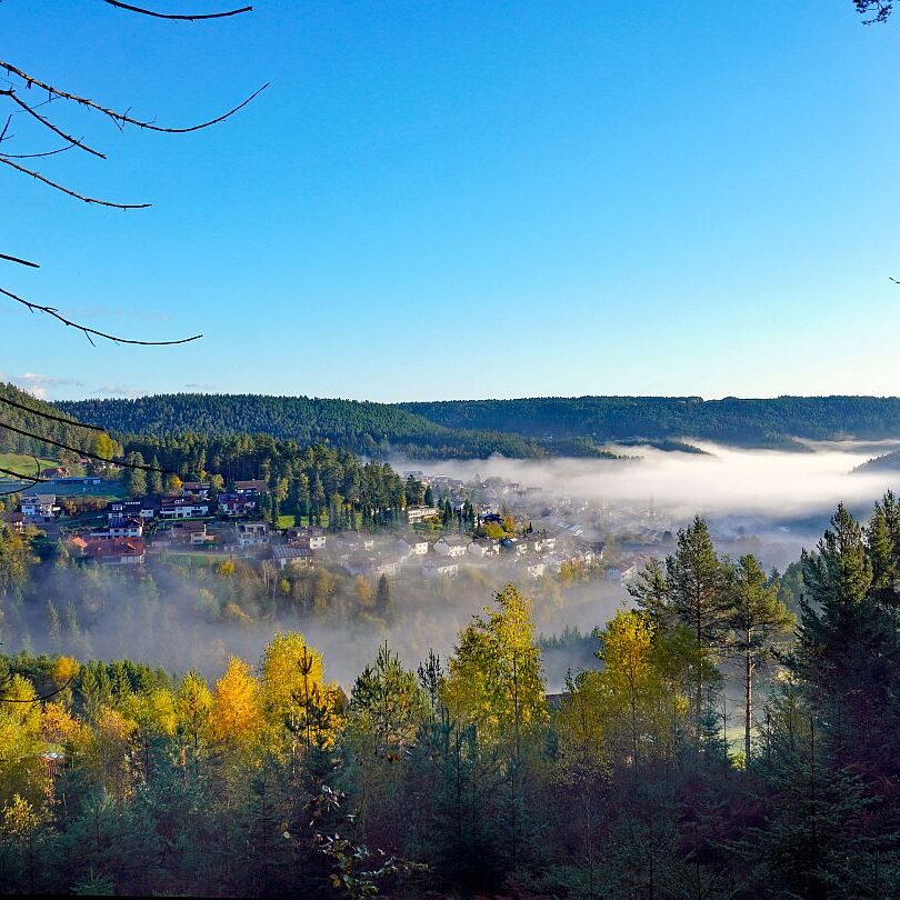 Herbstnebel im Tal in Tennenbronn 11
