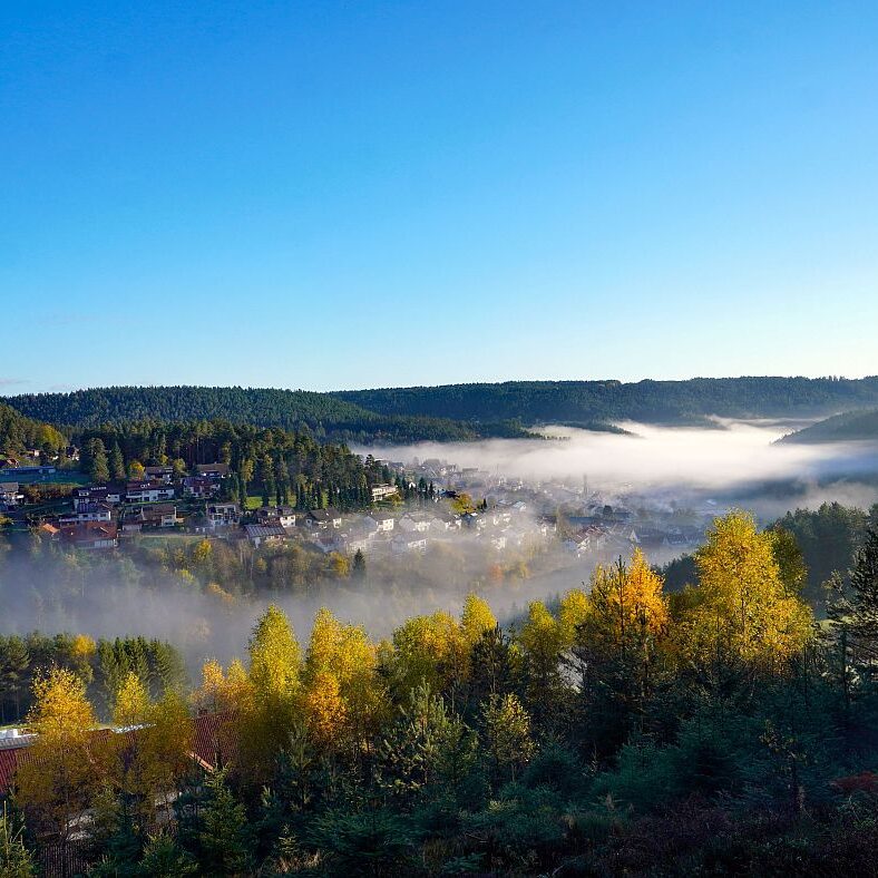 Herbstnebel im Tal in Tennenbronn 12