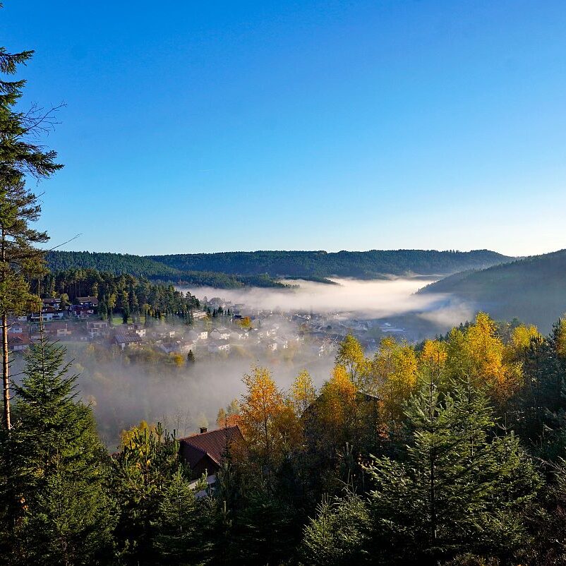 Herbstnebel im Tal in Tennenbronn 16
