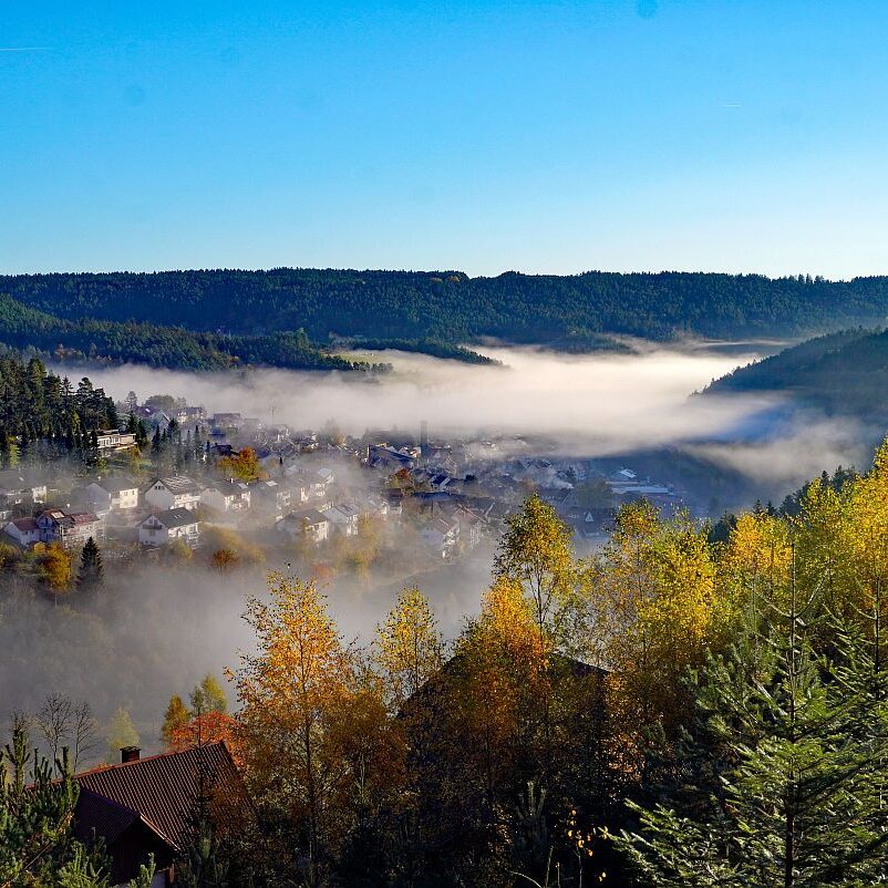 Herbstnebel im Tal in Tennenbronn 17