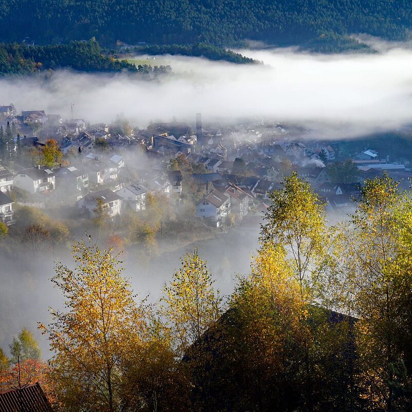 Herbstnebel im Tal in Tennenbronn 18