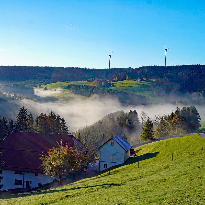 Herbstnebel im Tal in Tennenbronn 21
