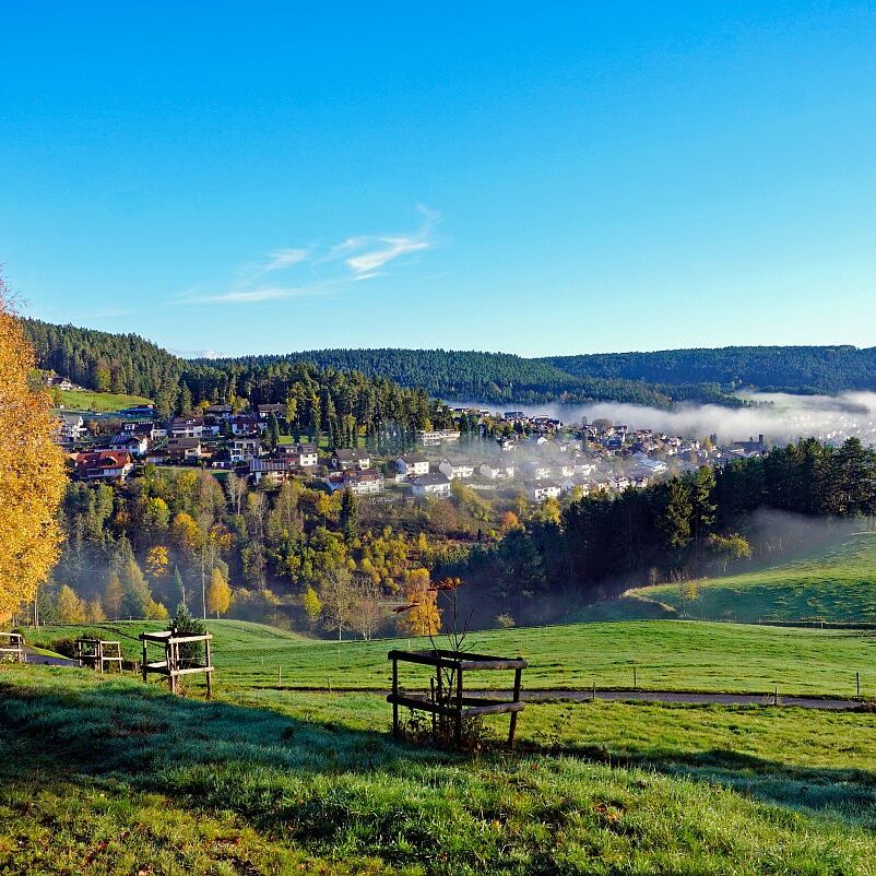 Herbstnebel im Tal in Tennenbronn 23