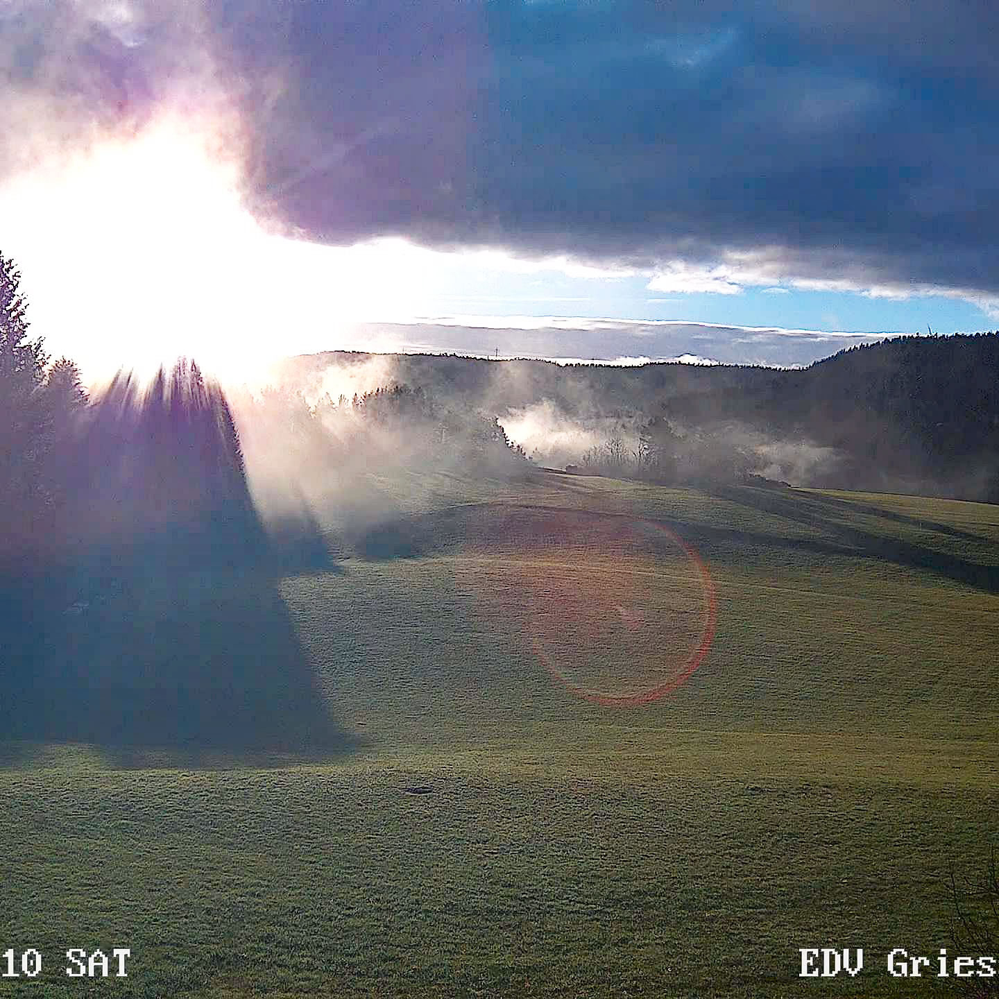 2022 11 19 Moos 0124