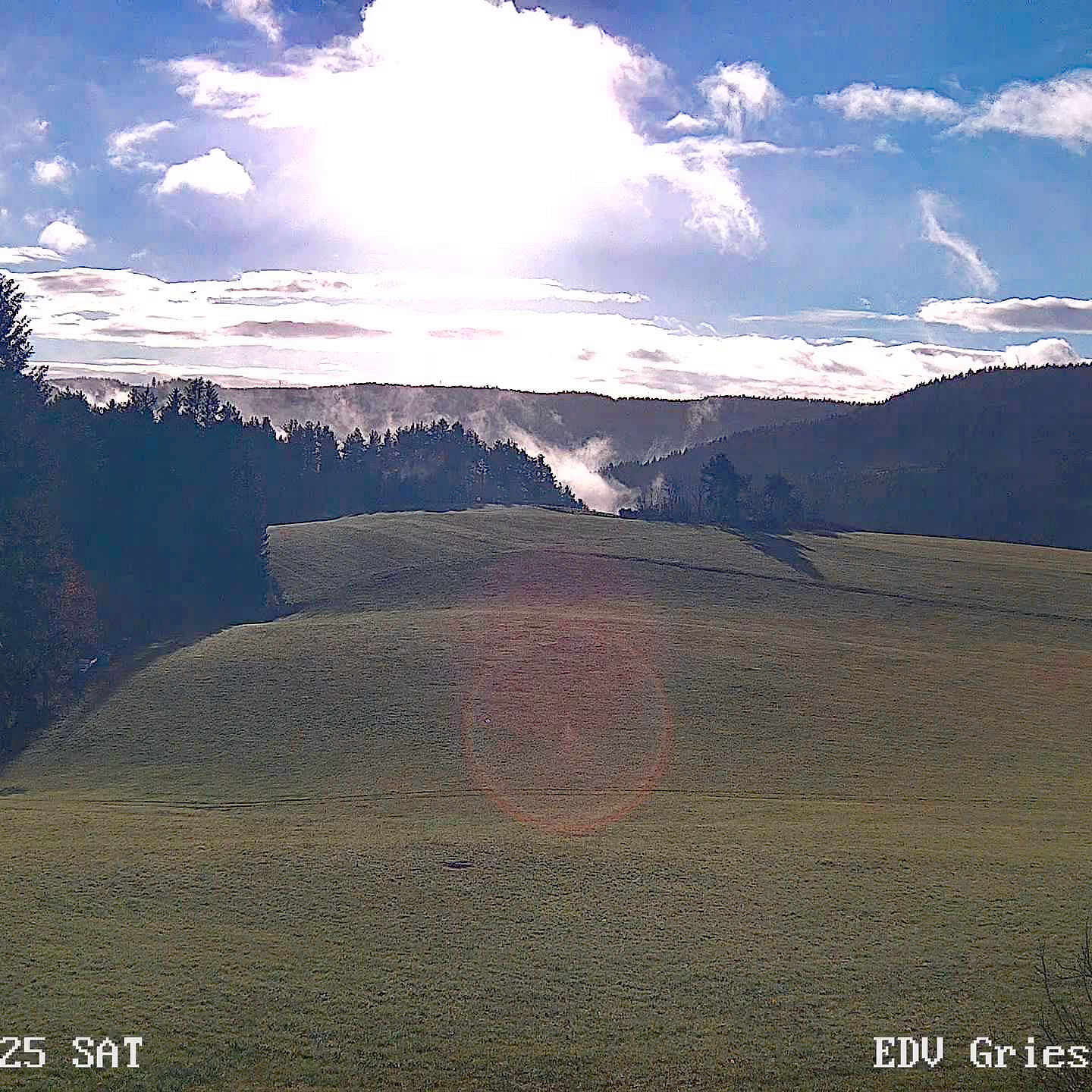 2022 11 19 Moos 0172