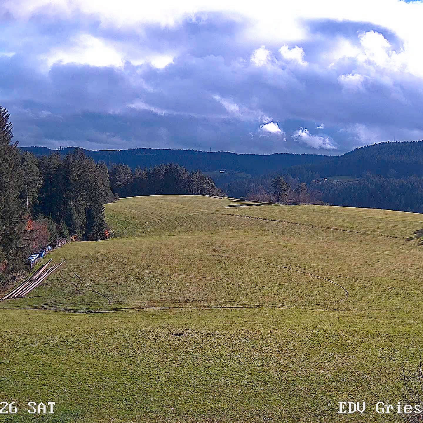 2022 11 19 Moos 0373