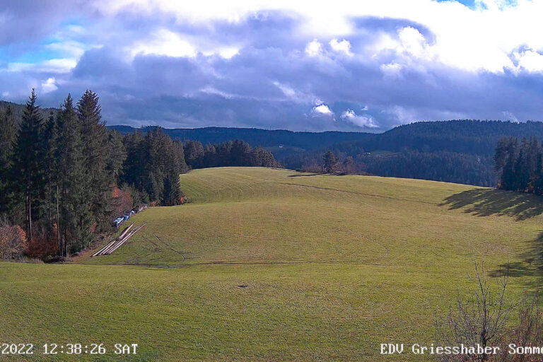 2022 11 19 Moos 0373