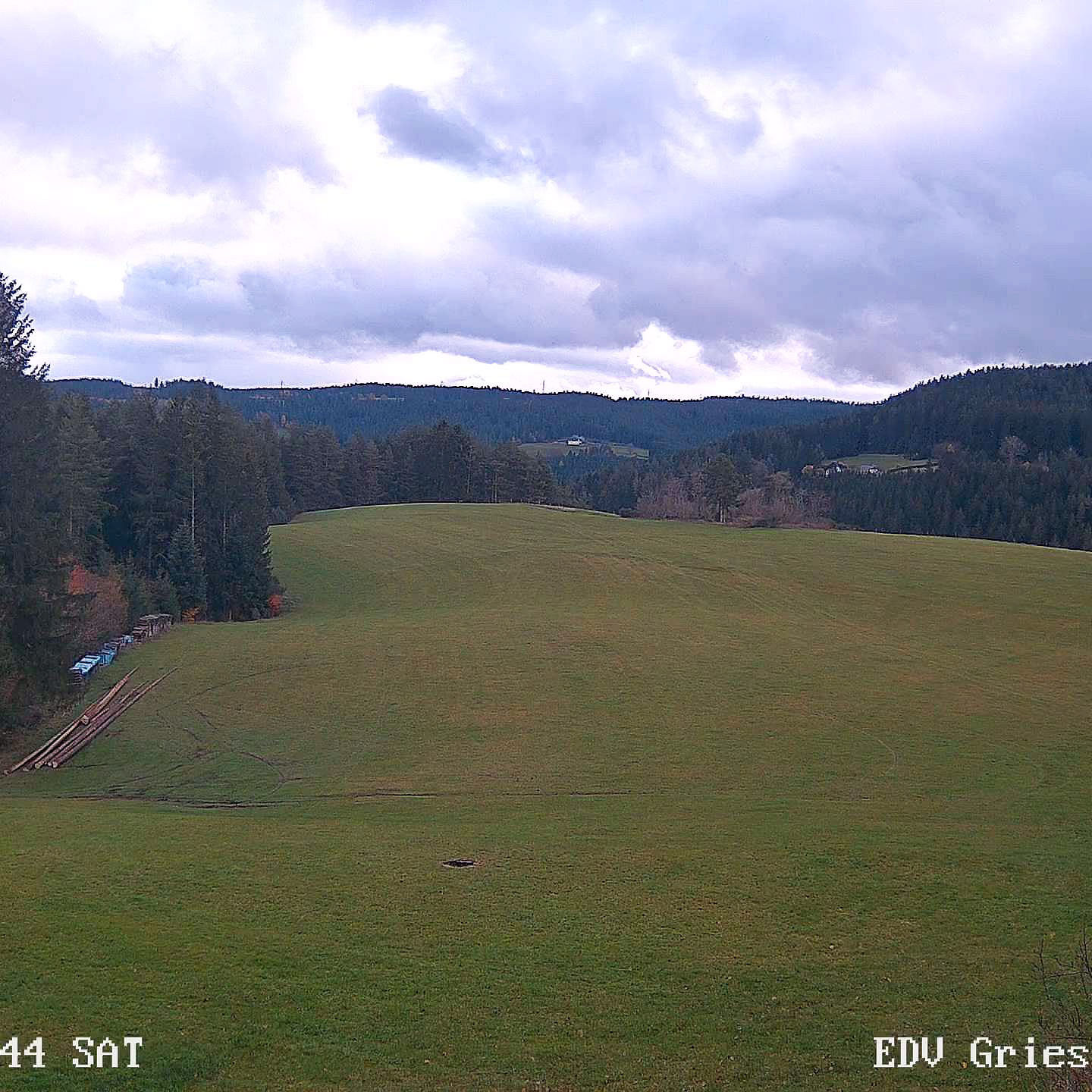 2022 11 19 Moos 0431